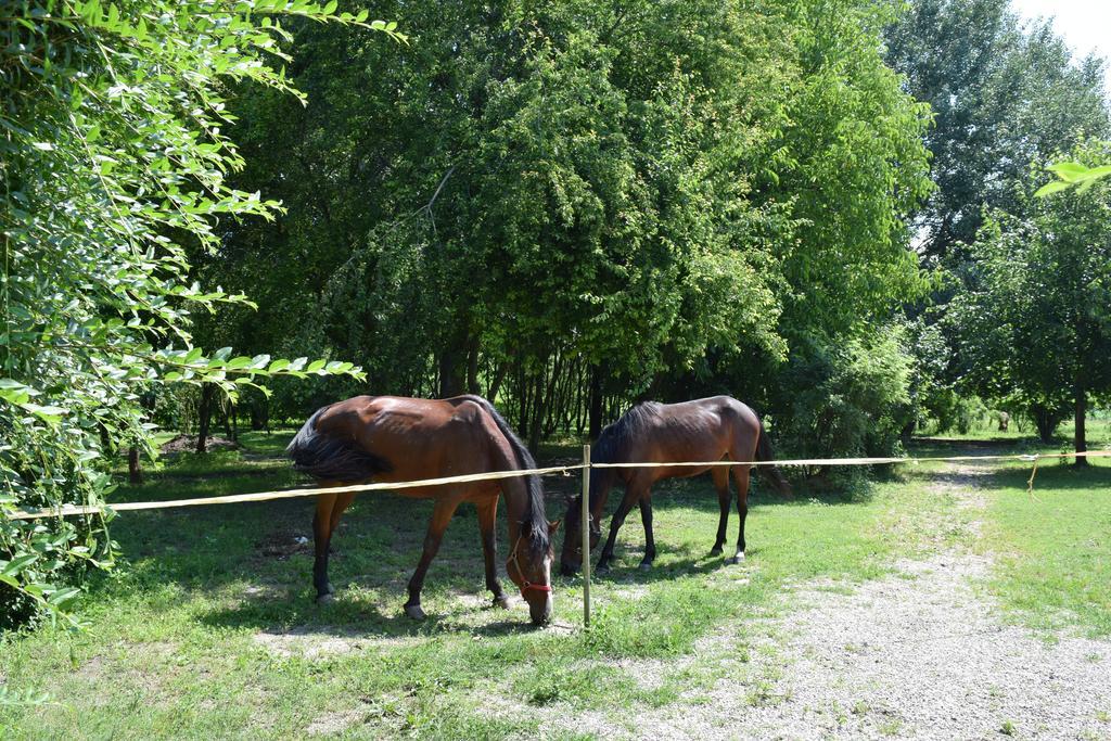 Tre Rondini Bauernhof Legnago