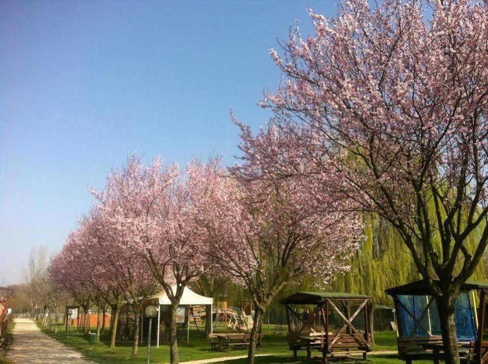 Tre Rondini Legnago